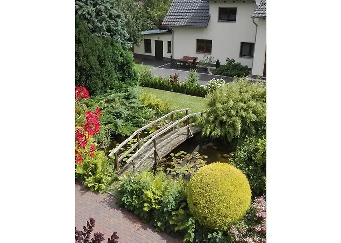 Appealing In Apartman